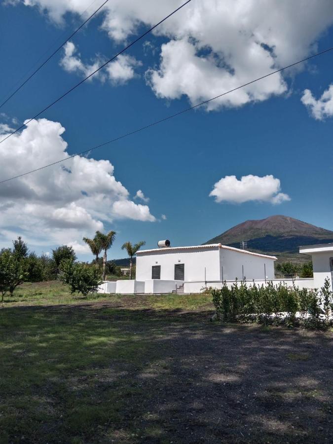 Vesuvio Casa De Charme Bed & Breakfast Trecase Dış mekan fotoğraf